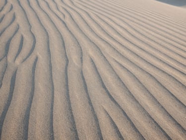 Macro photography of textured sand dunes at golden hour, soft natural light, minimalist abstract patterns, medium format film, muted neutral tones
