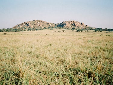 Wide open grassy landscape near Kuje Abuja, distant rocky hills, bright daylight, 35mm film