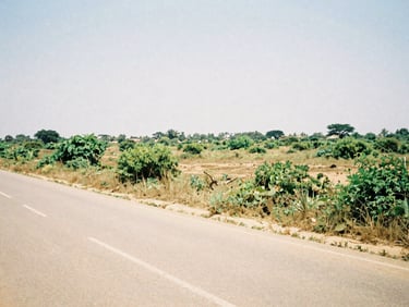 Roadside plot of land in Oyo, clear access road, green shrubs, bright midday sun, 35mm film