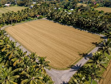 Wide-angle aerial drone shot of a beautifully graded farm lot in Albay, structured access roads visible, lush coconut palms surrounding, bright natural daylight.