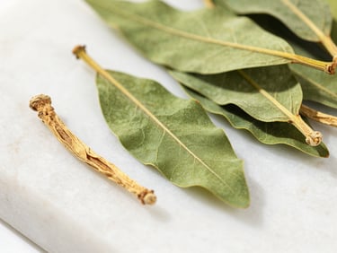 Macro close-up of dried green Moringa leaves and clean Ashwagandha roots arranged on a polished white stone surface, bright natural daylight, sharp focus.