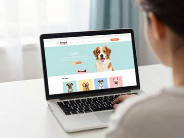 bright lifestyle photography, over-the-shoulder view of a person looking at a laptop showing a colorful pet clothing website, cozy room setting, soft natural daylight
