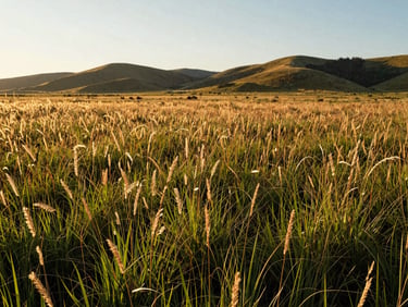 Wide-angle environmental shot of Pacific Northwest prairie landscape at golden hour, native grasses swaying, soft hills in the background, warm natural side-lighting