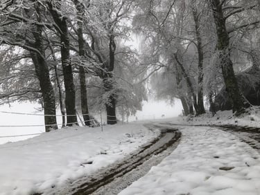 Rustige bergweg in de Pyreneeën in de winter, natuur en stilte nabij Foix in Ariège