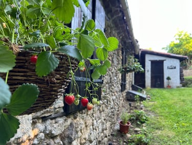 Charmant vakantiehuis in de Pyreneeën met groene tuin en natuur rondom Foix in Ariège