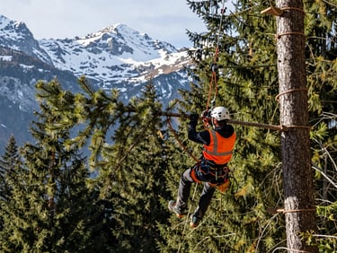 A professional arborist in Switzerland forest, using heavy rigging ropes to lower a massive section of a pine tree branch, snowy peaks in the far background, crisp morning light, sharp focus, 35mm