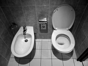 Bidet Plumbing Experts