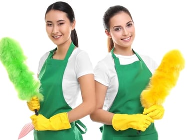 Fresh & Shiny deep cleaning blog thumbnail for Durham Region homes”