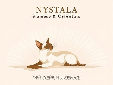 NYSTALA ORIENTAL AND SIAMESE CATS WEBSITE