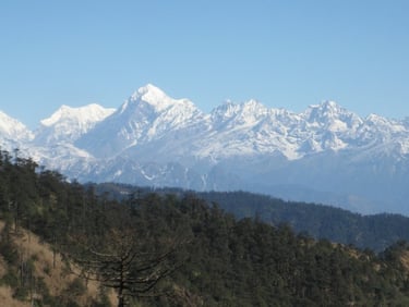 Treed hills with snowy mountains in background.