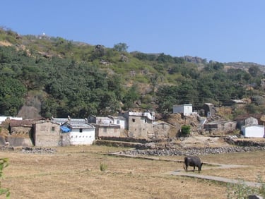 Rural homes with bare earth paddocks
