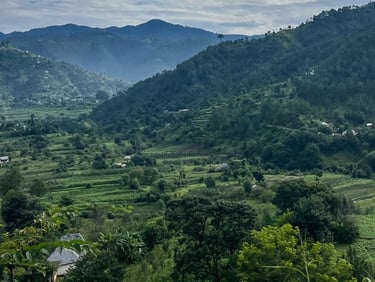 Mountains with stepped agricultural land