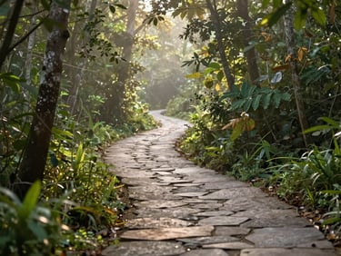 Pristine trails winding through Khao Yai National Park, lush forest, natural light, warm editorial photography, soft morning mist, forest green and stone grey tones, shallow depth of field, 35mm