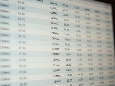 Close-up of a structured data table on a screen, showing economic indicators for the CEMAC region, soft library light, muted corporate tones, clean abstract data visualization.