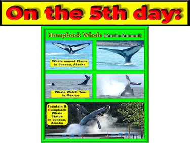 Fish of the Seas on the 5th day designed by Debbie Dunn using PowerPoint & Paint