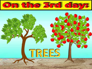 Trees on the 3rd day designed by Debbie Dunn using PowerPoint & Paint