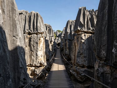 Dramatic razor-sharp limestone needles of Tsingy de Bemaraha, deep shadows, a narrow wooden suspension bridge spanning the canyon under a clear sky.