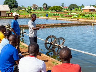 An outdoor educational training session at a Ghanaian fish farm, an instructor pointing to active paddlewheel aerators in a pond, small group of farmers listening.