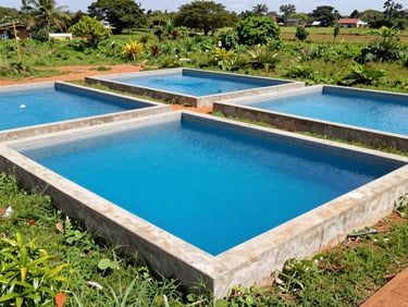 Wide-angle environmental shot of newly constructed concrete fish ponds in Ghana, clean blue water, surrounding green vegetation under bright daylight.