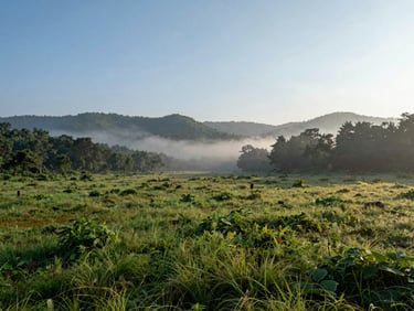 Wide environmental landscape of a high-altitude meadow in Lonavala, soft morning mist, lush greenery, clear blue-green tones.