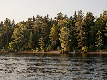 Wide environmental shot of a restored forested shoreline of a Great Lakes river, soft early morning sun, natural earth tones.