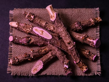 Overhead flat-lay of dried kava root pieces arranged on aged burlap under diffused tungsten light, neon magenta edge-light catching the rough texture of the root surface, dark moody background, high contrast and grain visible