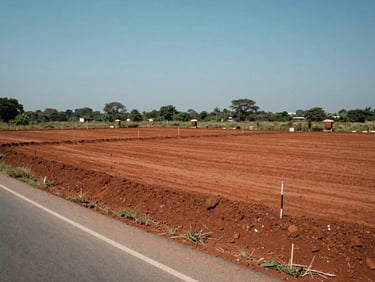 Open residential plot in Andhra Pradesh, red soil boundary markers visible, clear sky, daylight, street road visible at plot edge, wide shot showing full plot dimensions