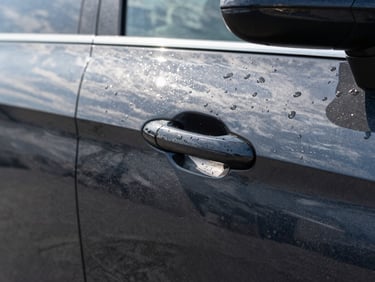 Tight close-up of a polished dark car door panel in clear daylight, water beading on the paint surface, reflection of sky visible in the finish, no people