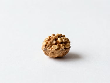 A single cracked walnut on a seamless pure white surface, soft natural daylight, sharp focus, casting a delicate soft shadow, minimalist conceptual composition.