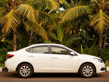 A clean, well-maintained white sedan parked near a coconut grove in Kochi, natural tropical daylight, 35mm