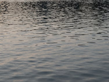 Intimate close-up of water surface catching diffused window light, faint ripple texture visible, very still and spare, cool neutral tones, generous empty space