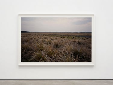 A specific image from the 'Altered Landscapes' series, a large-format archival pigment print, mounted on acid-free dibond, displayed in a clean white gallery setting under soft diffused light, straight-on architectural framing.
