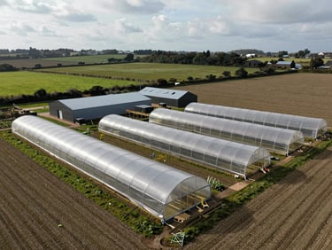 Overhead shot of a working farm diversification site — poly tunnels and outbuildings beside open fields, clean overcast UK daylight, no people