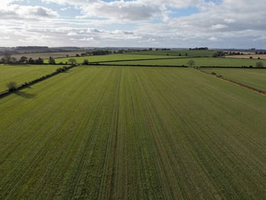 Wide aerial view of a rural UK farmland parcel, field boundaries clearly visible, overcast even daylight, no vehicles or people, landscape photography