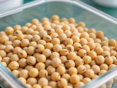 Macro shot of high-grade golden whole soybean meal in a clean laboratory container, bright daylight, high detail.