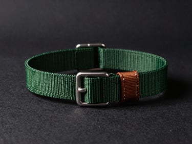 Heavy-duty nylon dog collar with steel buckle on a dark textured background, dramatic side lighting, 50mm lens