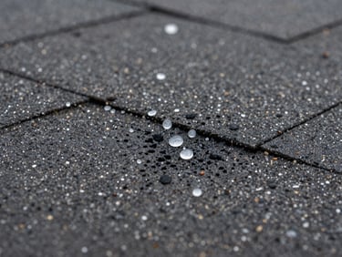 Extreme close-up of hail impact craters on dark asphalt shingles, granules displaced and bruising visible, natural flat overcast daylight, tight macro framing showing damage pattern