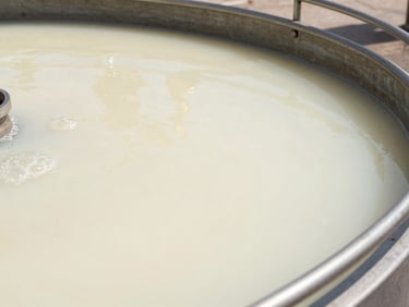Dairy plant wastewater treatment tank, milky white effluent surface under overhead natural daylight, aeration bubbles visible at the tank edge, steel handrails framing the shot