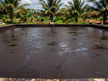 Palm oil mill effluent pond, dark brown POME surface with visible oil sheen under open tropical daylight, wide medium shot showing tank scale and surrounding vegetation