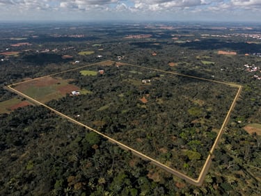 Extreme wide aerial drone photography of a raw land parcel in São Paulo, clean gold vector boundary lines overlaying the topography, crisp overcast daylight