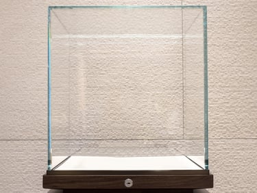 Stikline vitrina su uzraktu