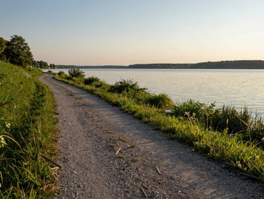 Eye-level shot of a gravel path winding along the Altmühlsee shore at golden hour, soft green lakeside grass and calm water, warm natural sunlight.