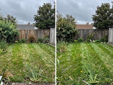 Before and after split screen of a neglected backyard with tall weeds transformed into a clean mown lawn, overcast sky.