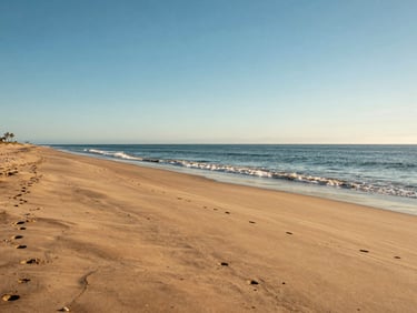 Wide environmental shot of a premium beachfront lot in San Felipe, golden sand meeting the calm tide-line, clear blue sky.