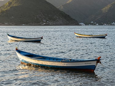 Environmental shot of traditional colorful fishing boats floating in the calm, sunlit waters of Orla Bardot in Armação dos Búzios.