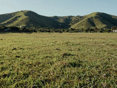 Wide environmental view of a grassy flat land lot in Saquarema, green hills in the background, bright daylight.