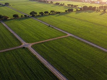 High-altitude professional drone photography of lush, neatly demarcated green farmland plots in Hyderabad. Warm, low-altitude golden hour sunlight casting long shadows over internal gravel roads and precise boundary markers.