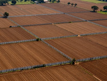 High-altitude shot of pristine agricultural land plots in Bangalore with secure fencing and fertile soil.