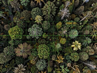 Top-down aerial orthomosaic of regenerating Andean forest canopy, sharp neon green telemetry grid lines overlaid, high-contrast daylight, scientific visualization.