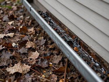 Close-up overhead shot of a residential gutter filled with dark decomposed leaves and debris on the left side, cleaned-out aluminum gutter showing clear flow on the right, bright Maryland daylight, documentary detail framing